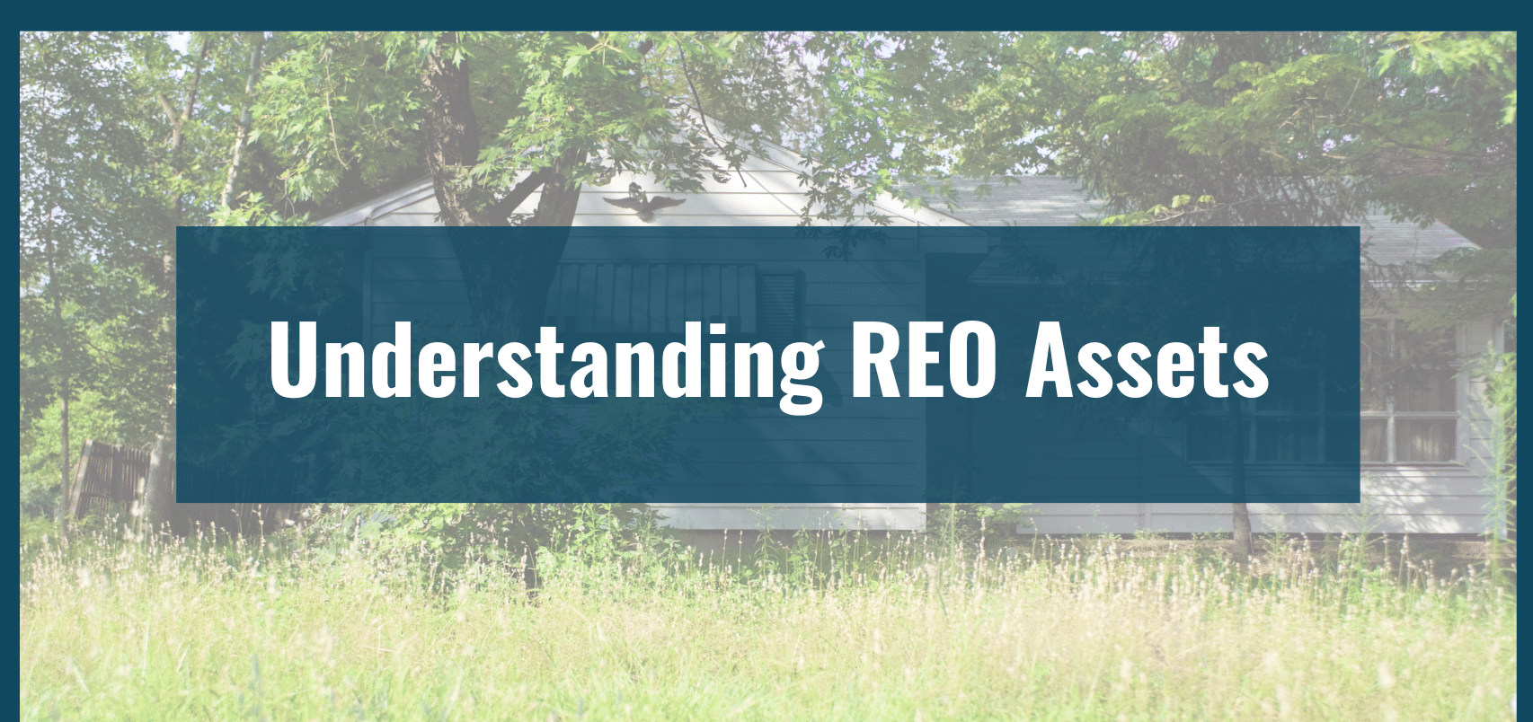 Understanding REO Assets